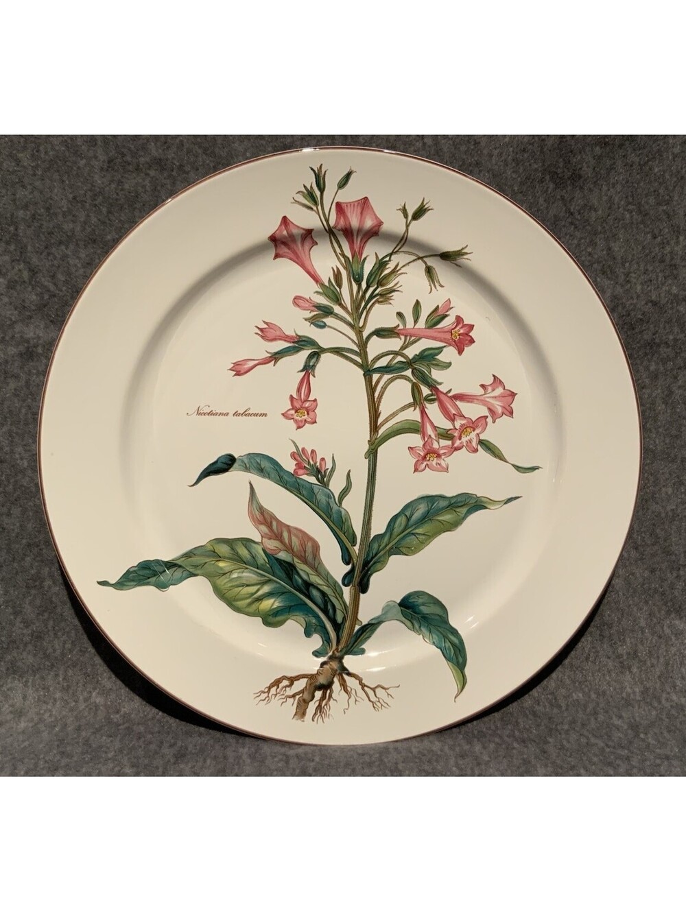Villeroy & Boch 12.5”W Botanical ‘Nicotiana Tabacum’ Serving Platter/Plate
